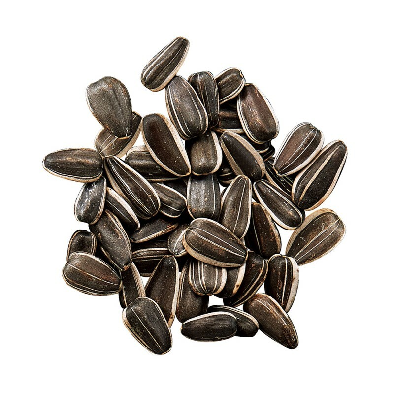 Marukan 大粒葵瓜子 - 200g