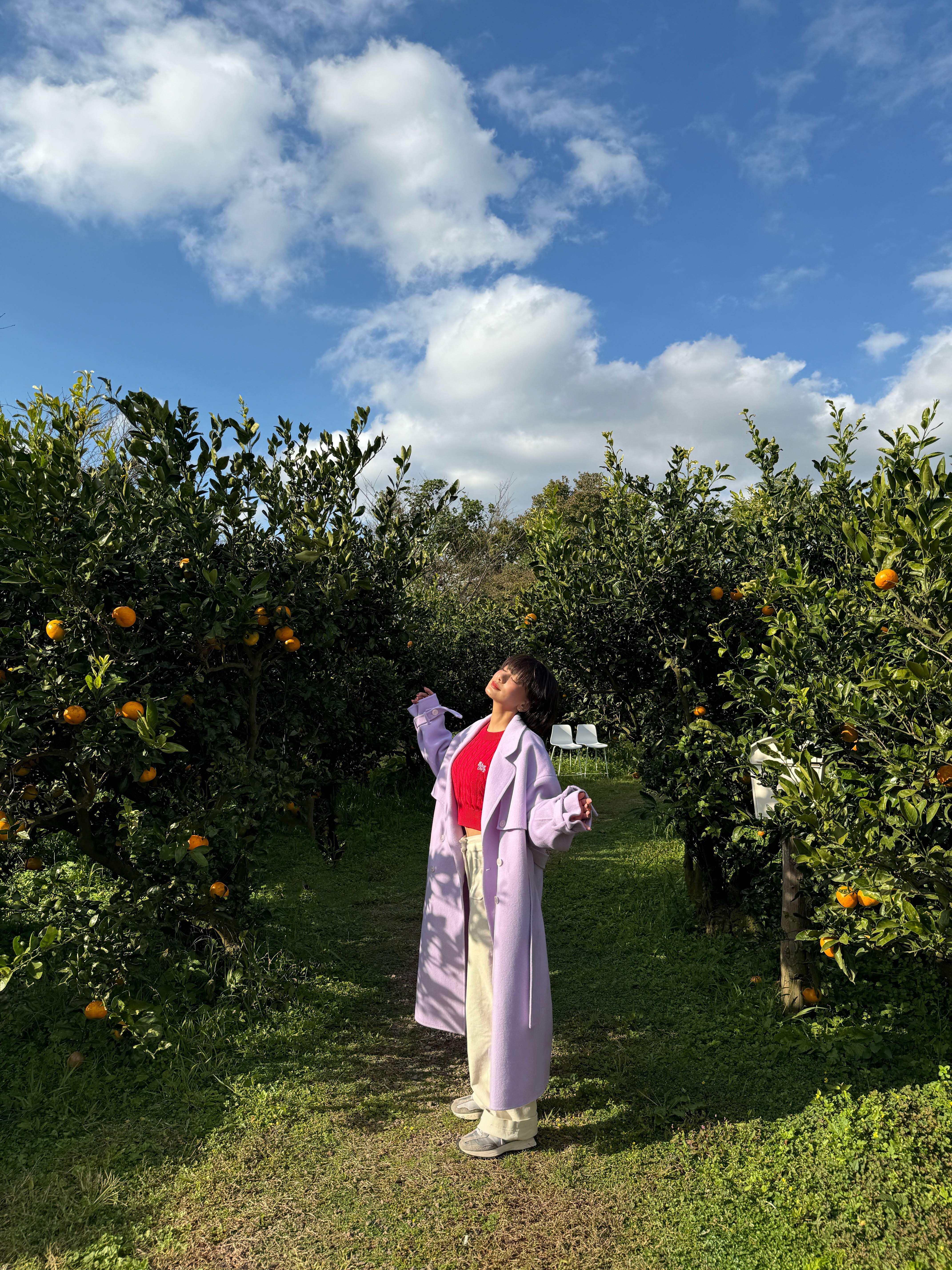 100%手工羊毛大衣