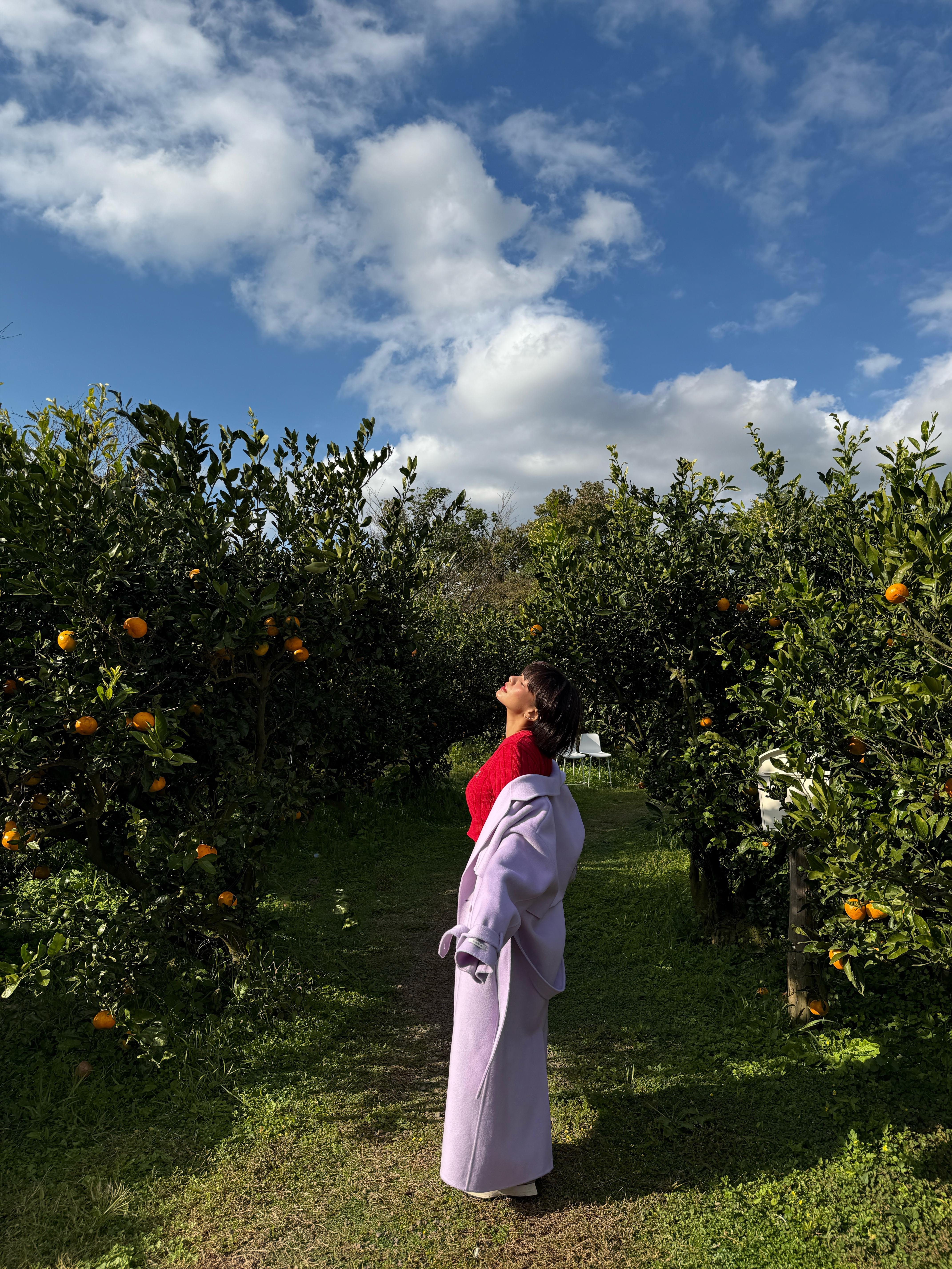 100%手工羊毛大衣