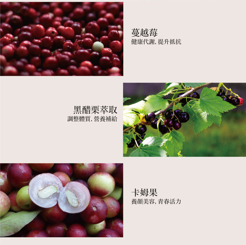 潔薇塔蔓越莓極光晶萃氧醞膠囊，營養補給養顏美容