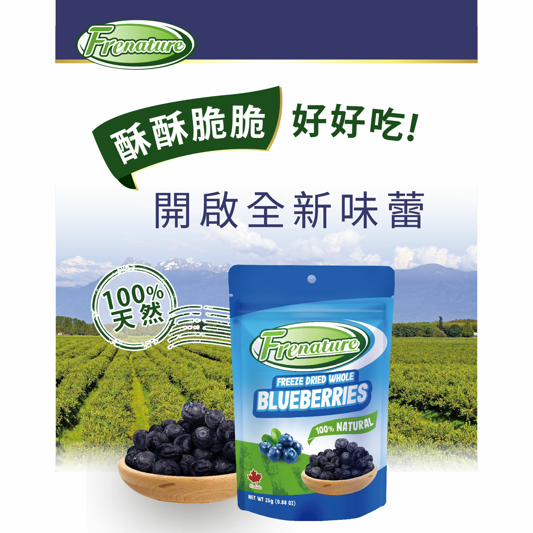 Frenature 富紐翠 加拿大 藍莓凍乾 25g (藍莓果乾)