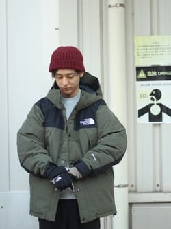 日本 TNF Mountain Down Jacket