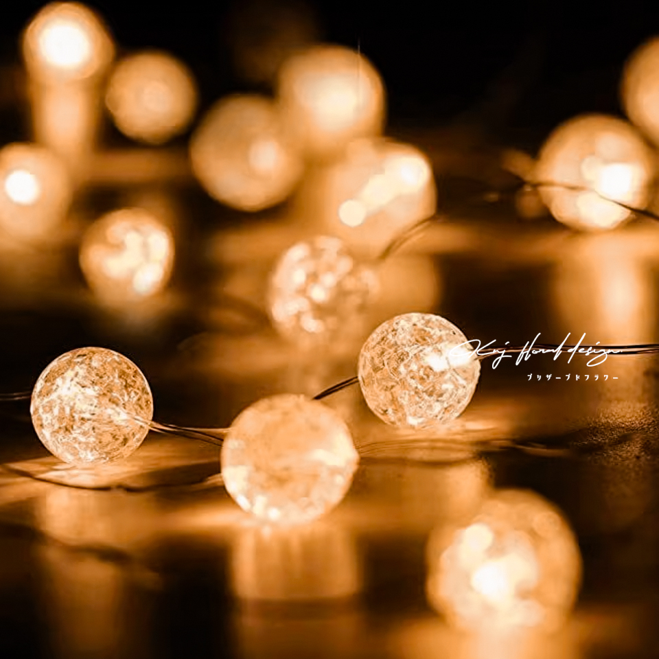 LED晶球燈飾 5尺