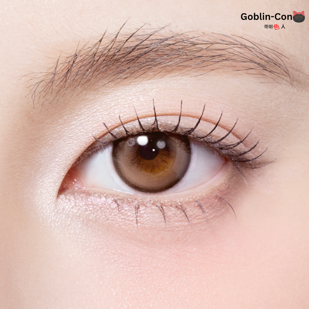 [月拋] OLOLA Meow 1 Month Coon Brown 月拋隱形眼鏡｜每盒2片