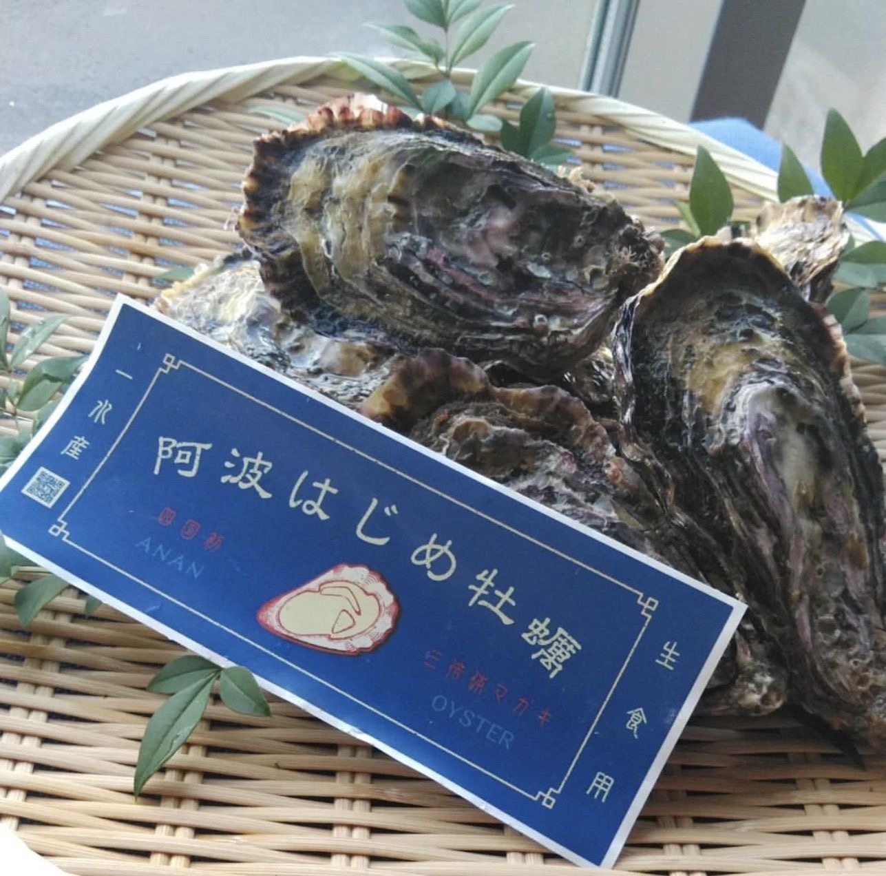 徳島 阿南阿波はじめ牡蠣