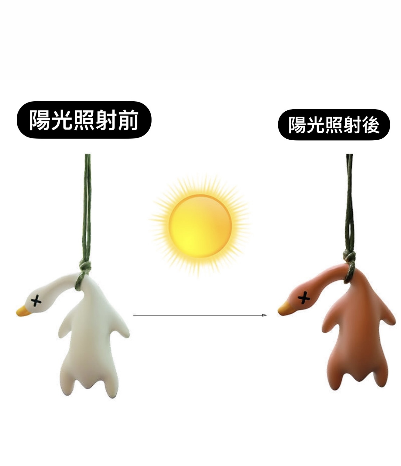 會變色的烤鴨掛件 陽光烤鴨🦆☀️