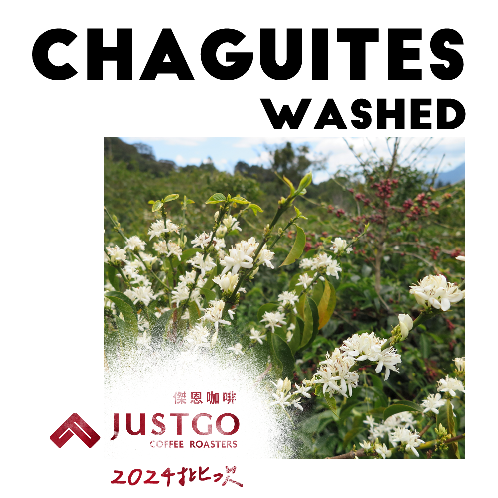 [生豆] No.220 宏都拉斯 查圭特斯莊園 藝妓 水洗