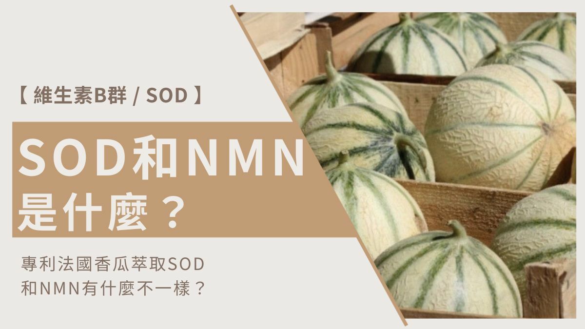 SOD和NMN是什麼