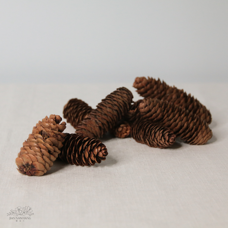 天然素材 長松果