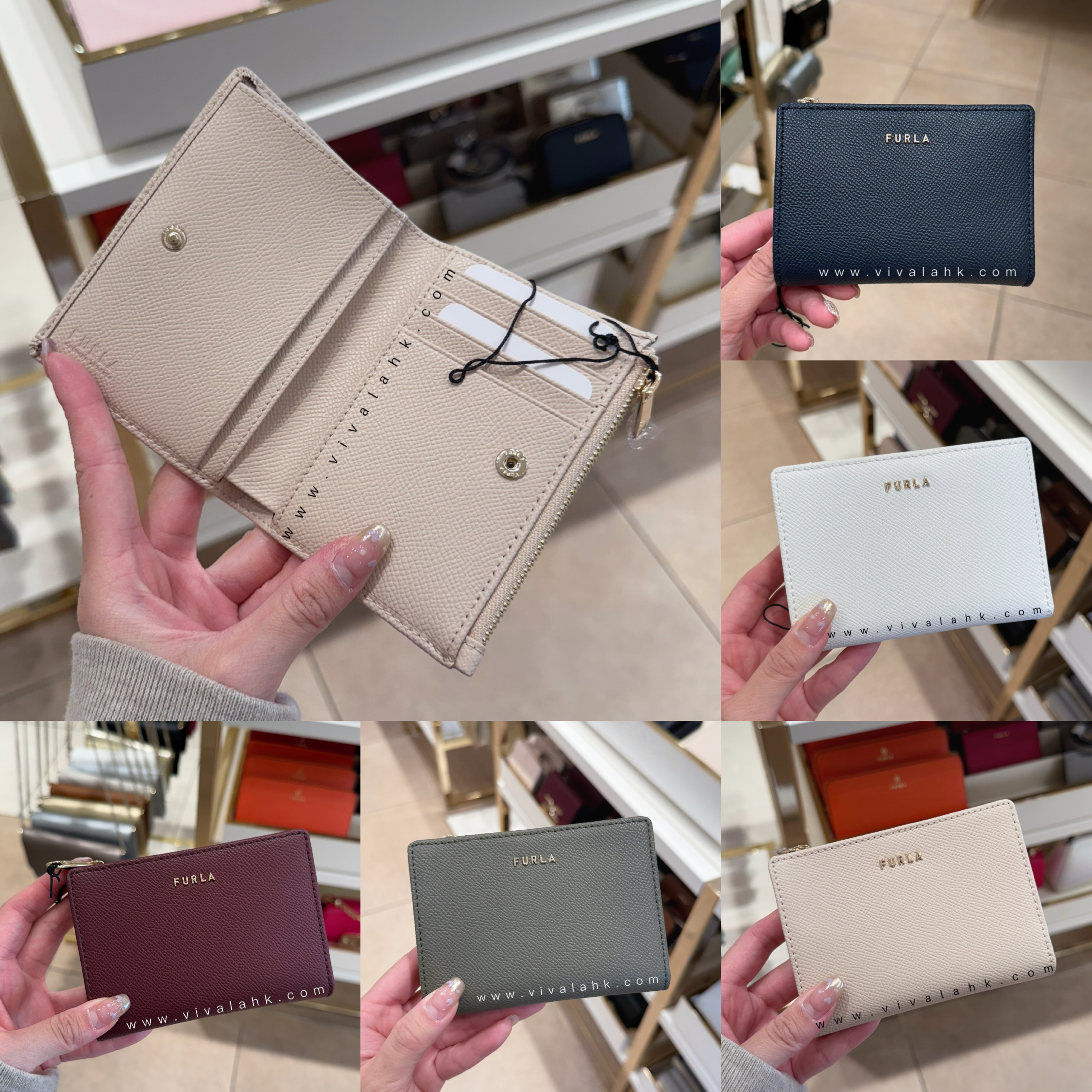 Furla - Classic Small Bifold Wallet (PCK5CL0 BX0306)