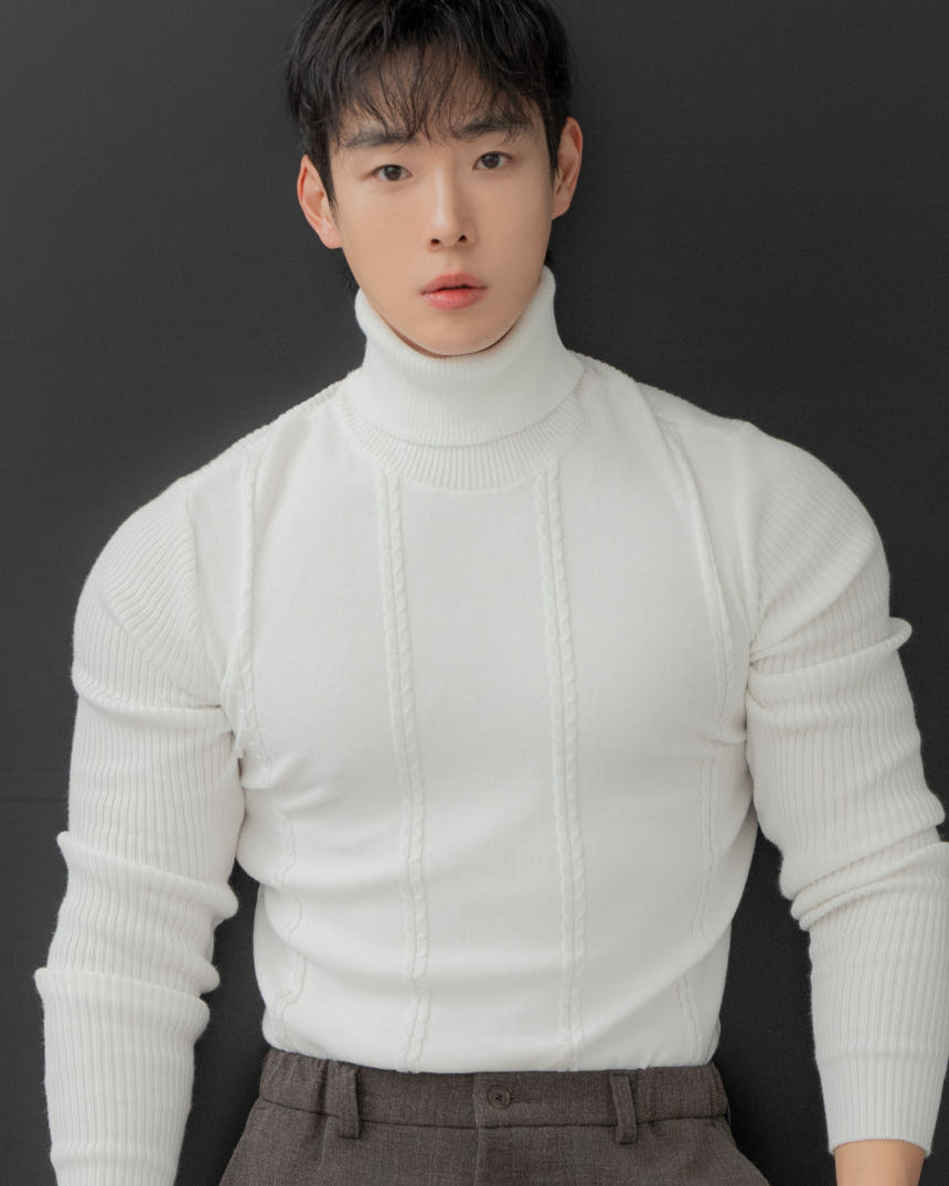 合身款喀什米爾羊毛高領針織衫