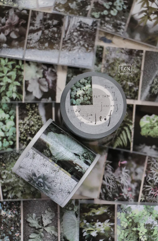 吉LCN｜ 旅程 - 葉/花 : UV印刷霧面PET膠帶