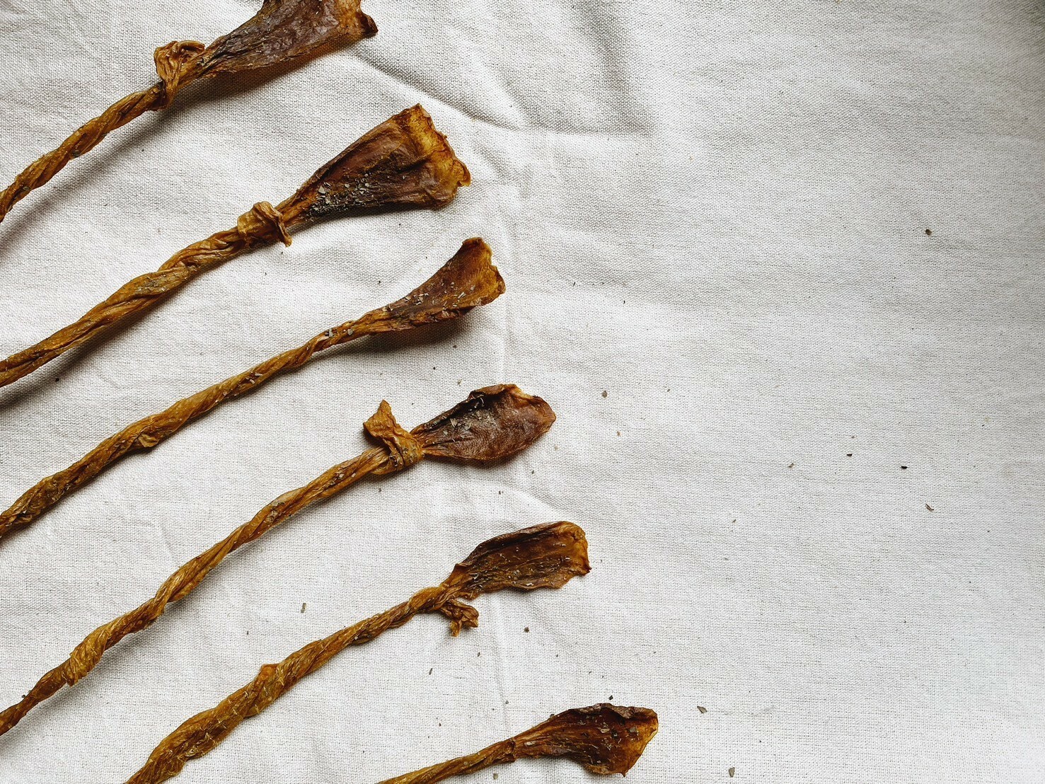 沾到毛了 | 羅勒咖哩鴨腱帶