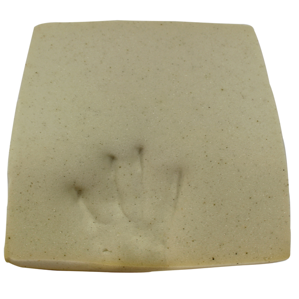 奈米遠紅線竹炭記憶護腰墊-1入 出清破盤下殺 OMAX歐妹思購物網