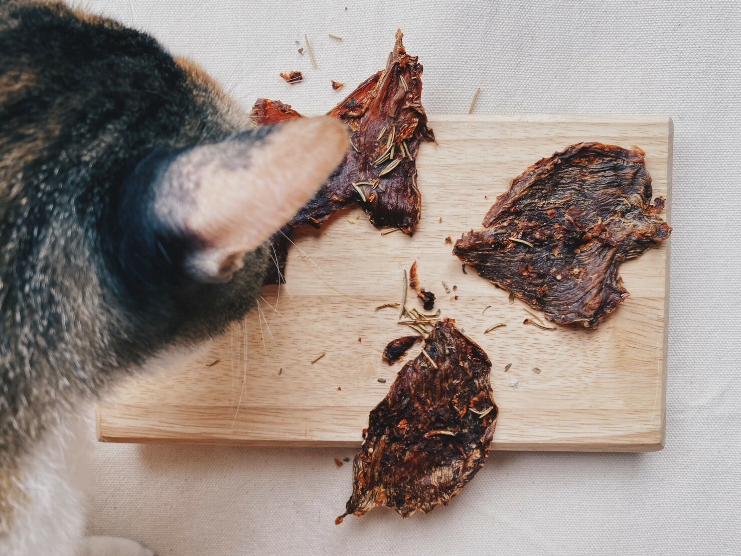 沾到毛了｜茄汁義式迷迭豬里肌肉片