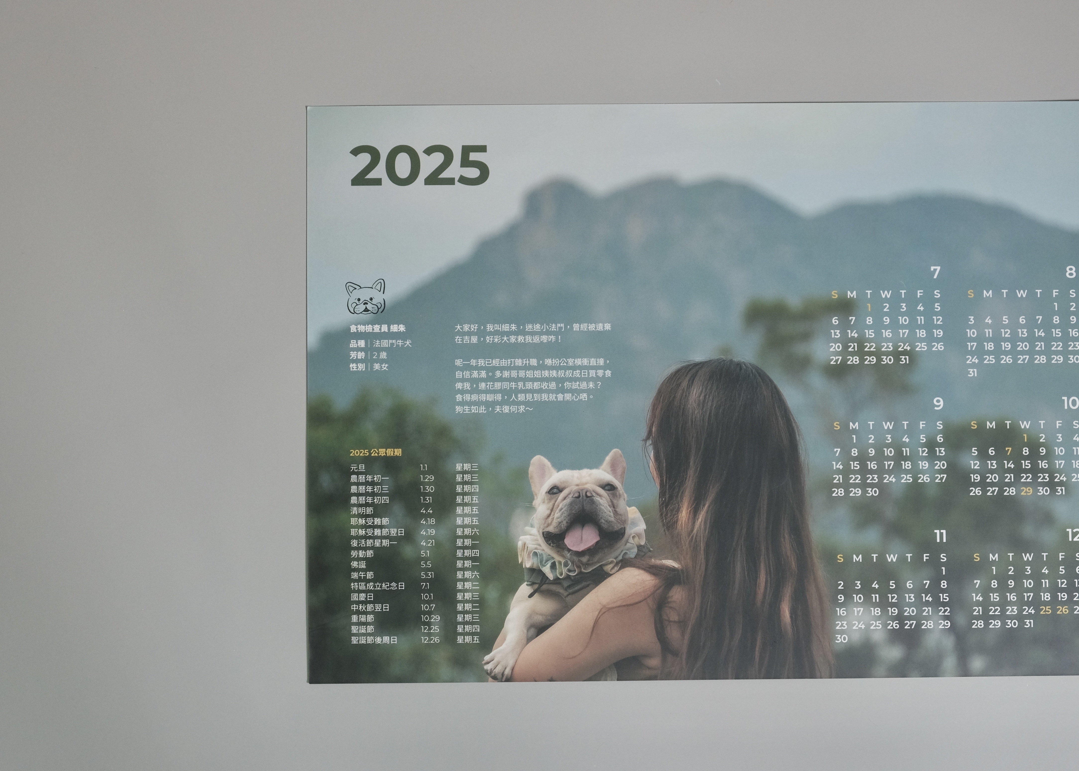 【自家】2025 年曆卡（A4，牆內適用）