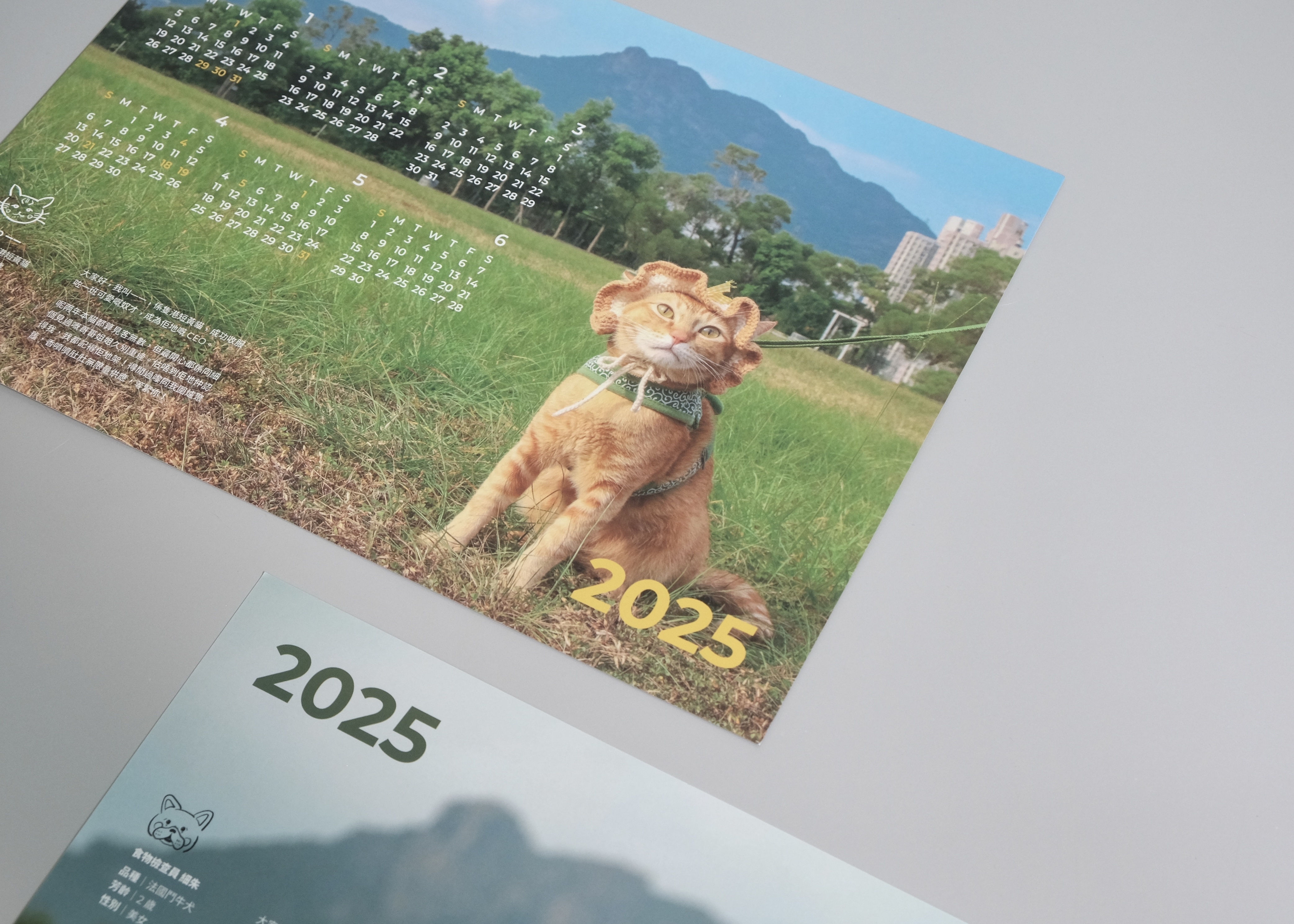 【自家】2025 年曆卡（A4，牆內適用）
