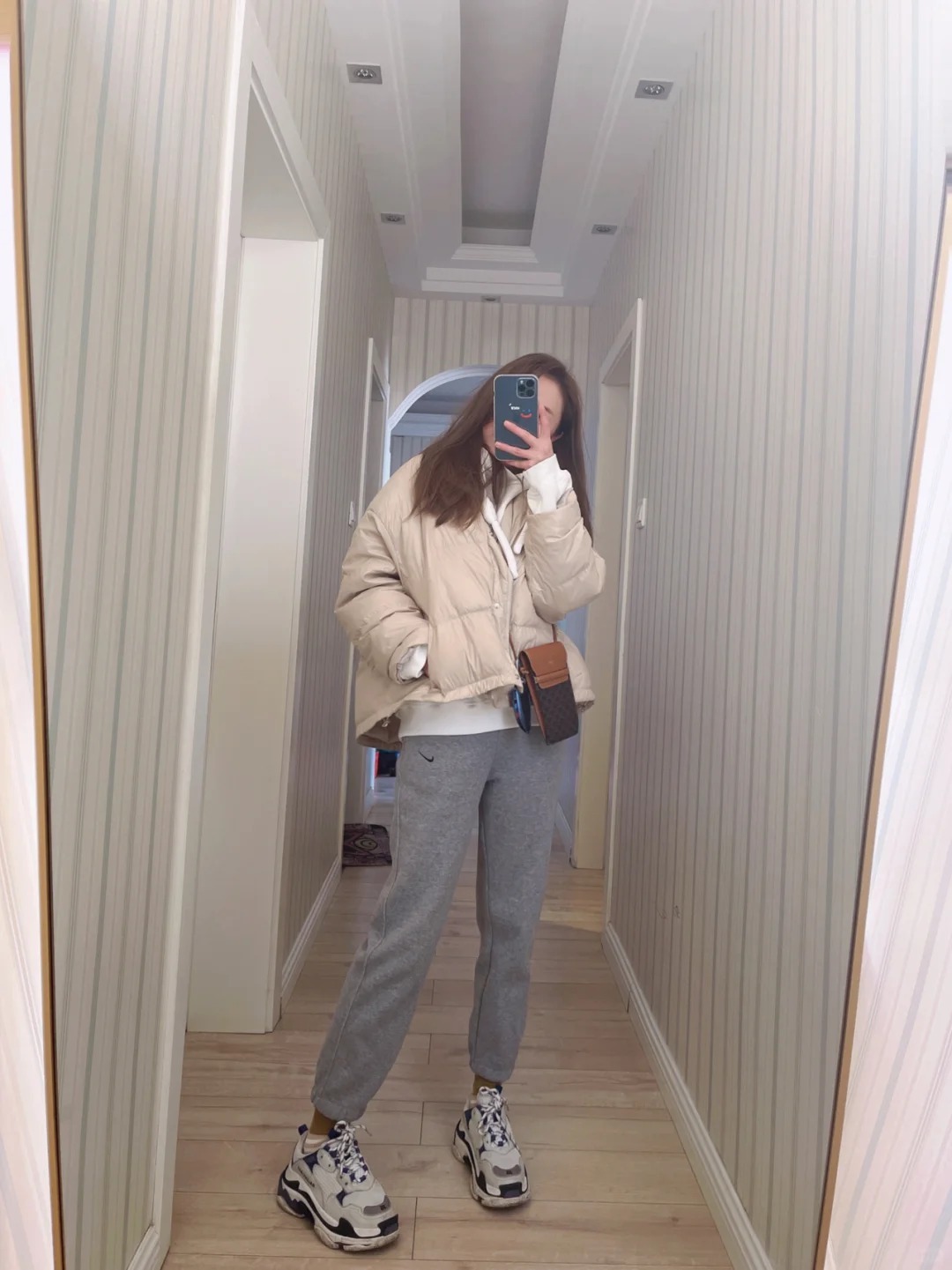 Celine Triomphe 老花手機包