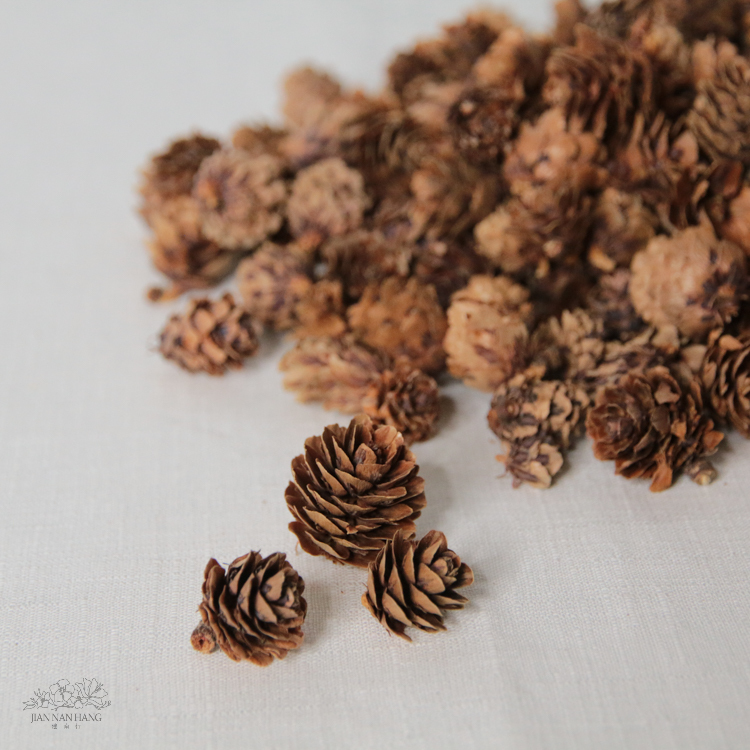 天然素材 小落葉松 200G 原色