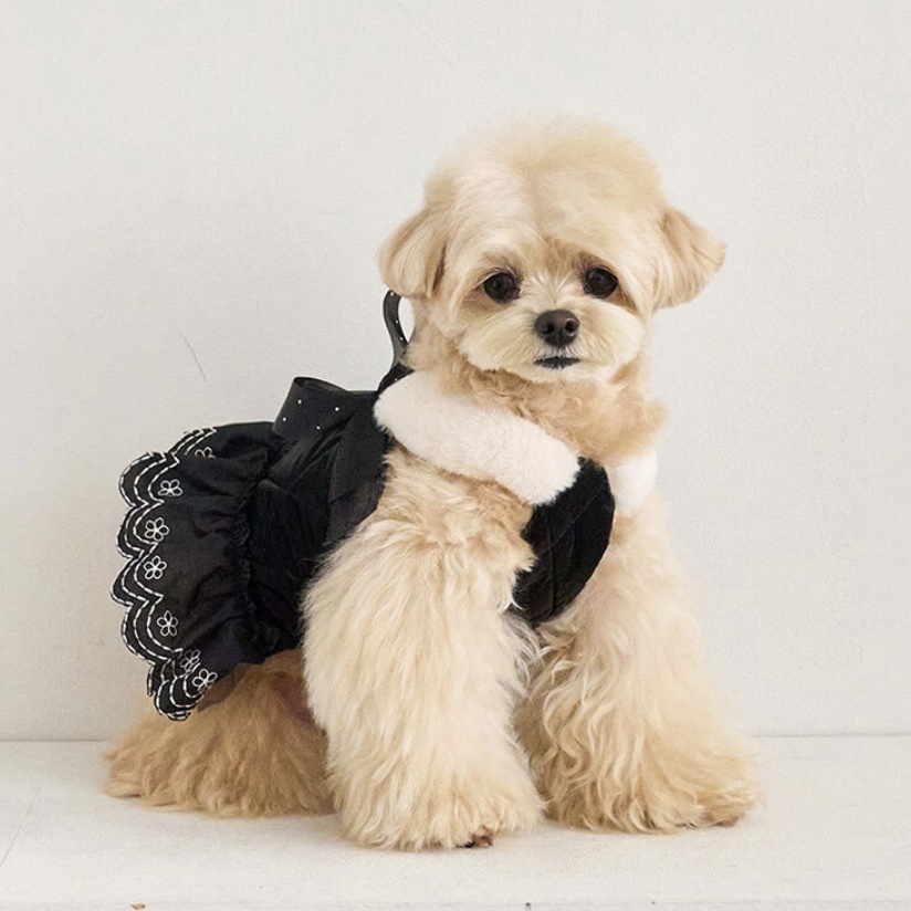 stella毛肩絎縫吊帶裙 -Black黑  It’s sunny outside