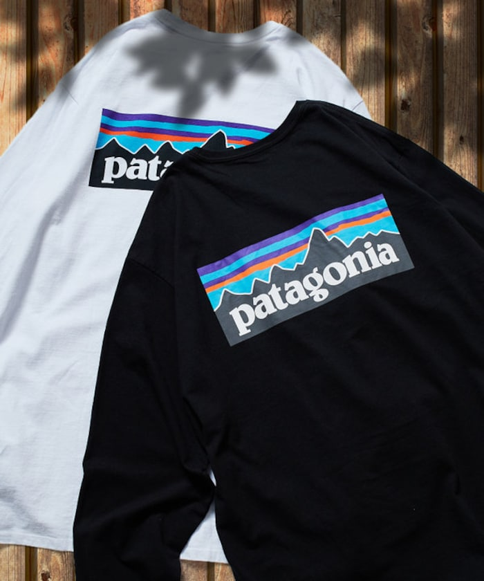 Patagonia P6 經典長袖