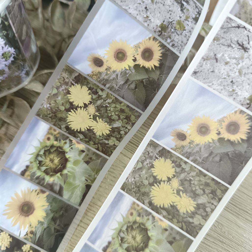 吉 LCN．旅程-花 5cm霧面PET/和紙膠帶 <整捲/分裝>