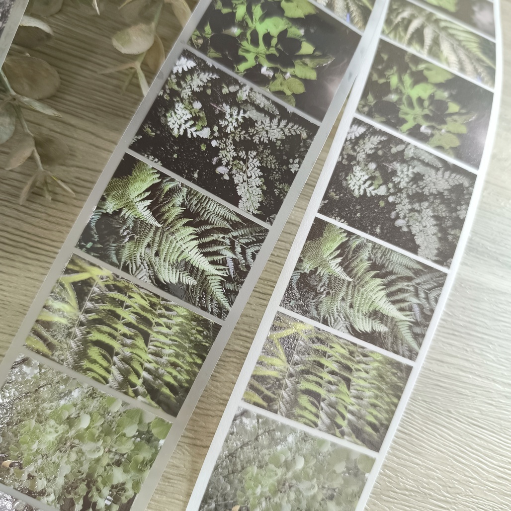 吉 LCN．旅程-葉 5cm霧面PET/和紙膠帶 <整捲/分裝>