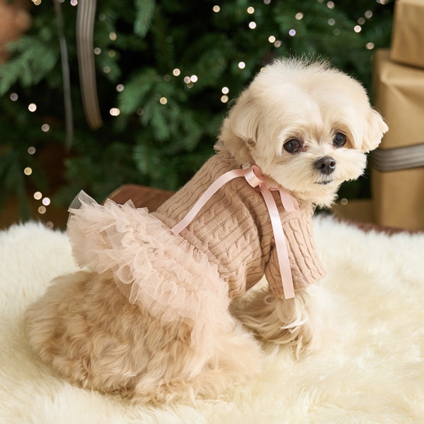 珠寶芭蕾舞紗裙Jewelry Tutu Ops 駝色 (Camel)- It’s sunny outside