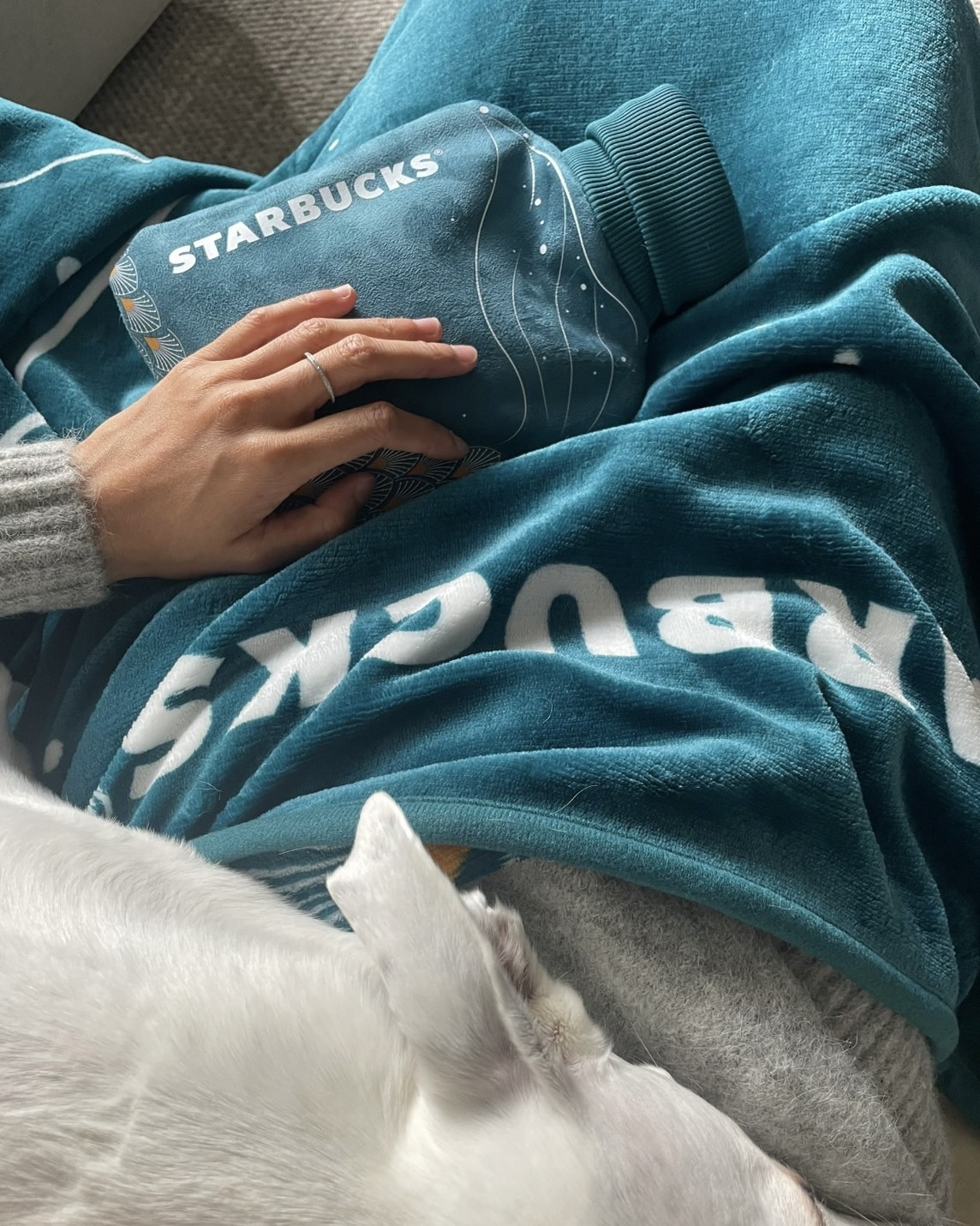 <正版限量代購> 星巴克冬季限定 聖誕節冬日毯子 法蘭絨 毛毯 人魚大海毯 暖手袋 熱水袋