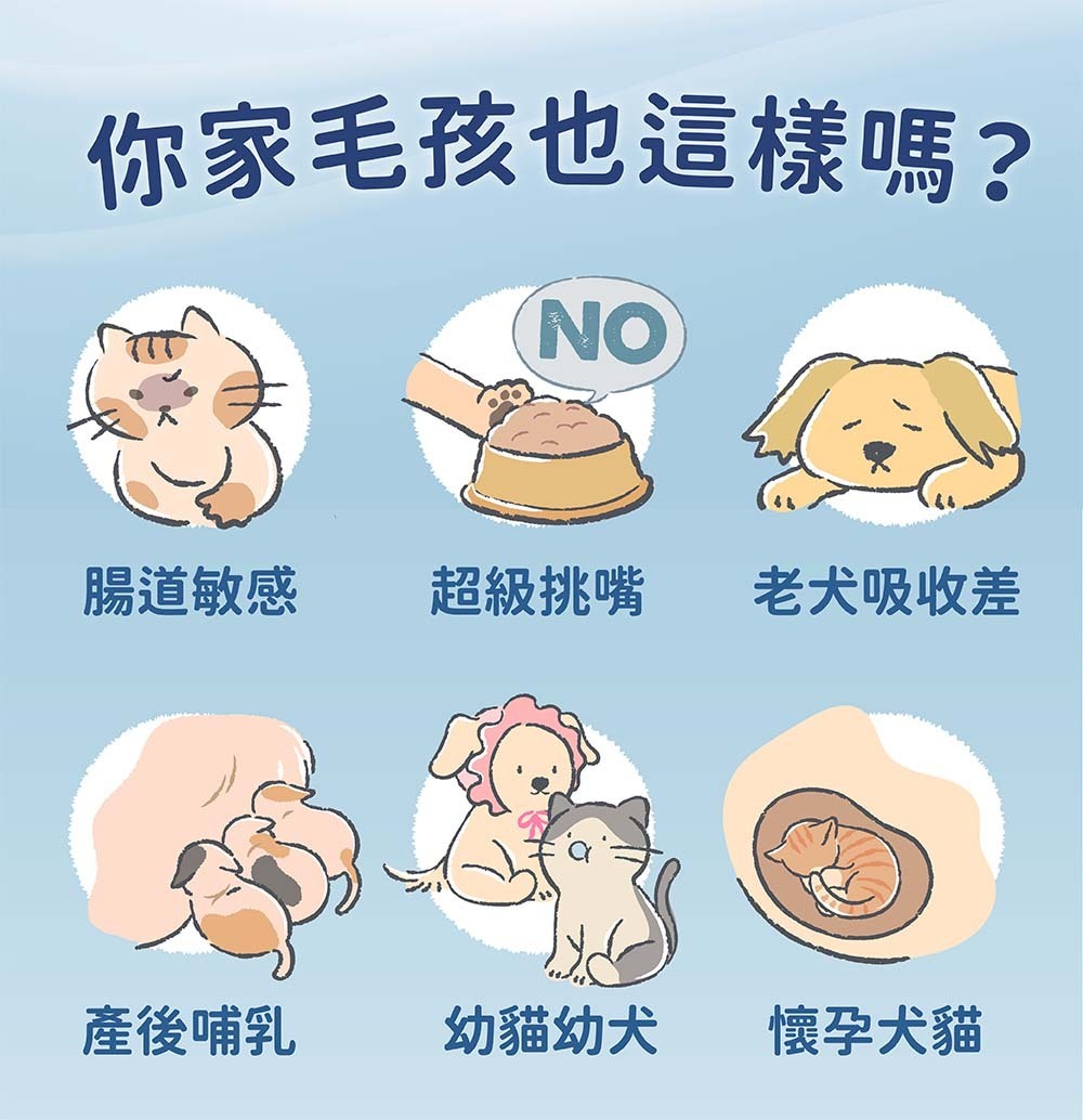 【營養保健品】Blue Bay 倍力頂級羊奶粉 (挑食剋星-狗貓奶粉) 350g