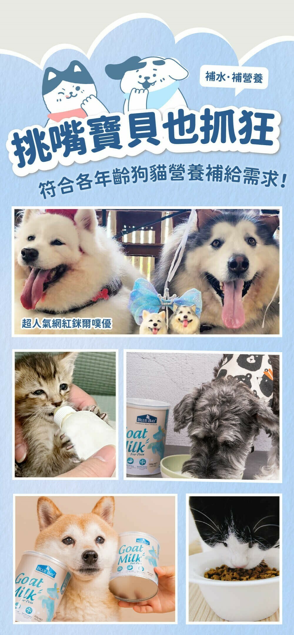【營養保健品】Blue Bay 倍力頂級羊奶粉 (挑食剋星-狗貓奶粉) 350g