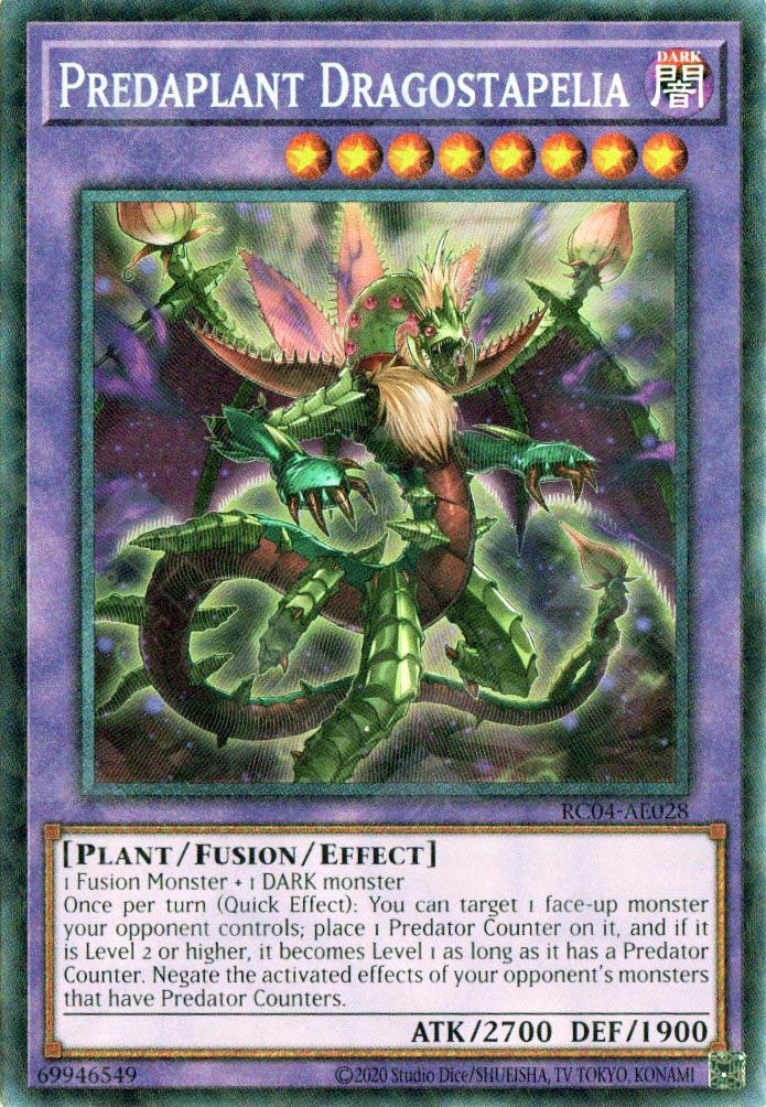 RC04-AE028 Predaplant Dragostapelia