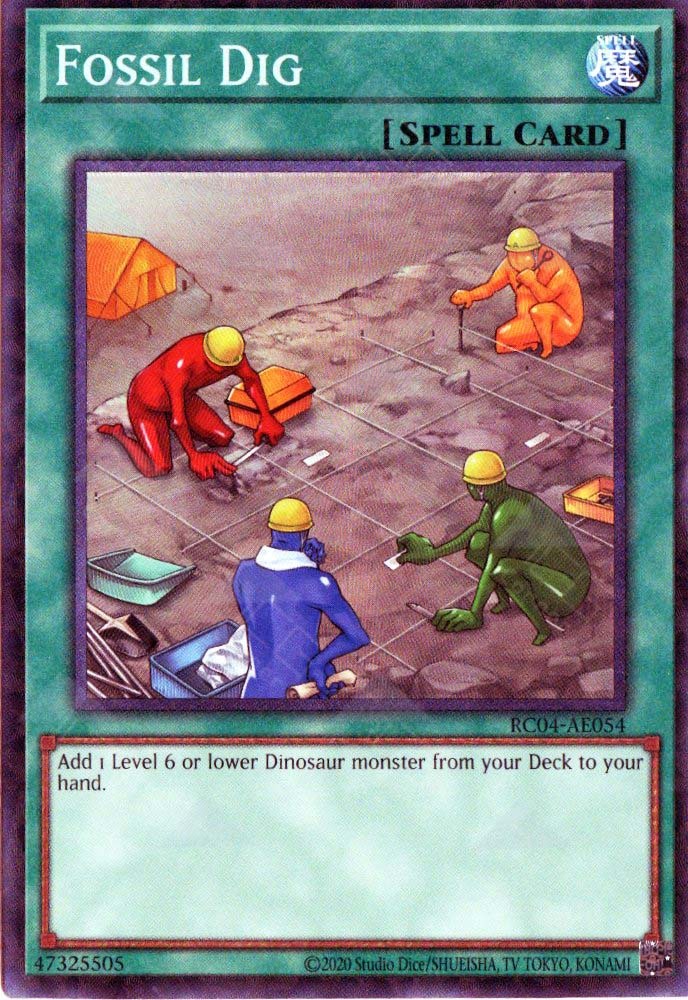 RC04-AE054 Fossil Dig