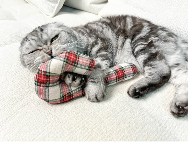 聖誕拐杖糖┃共兩色