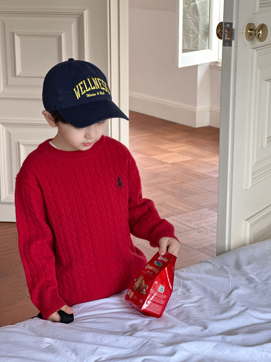 保暖羊毛刺繡加厚麻花針織衫