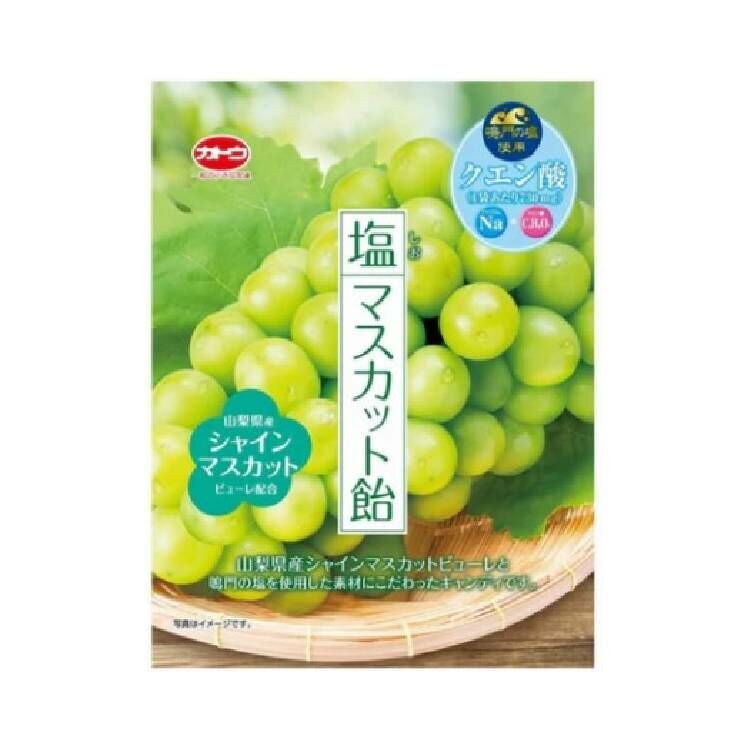 加藤製菓 鹽味青葡萄風味