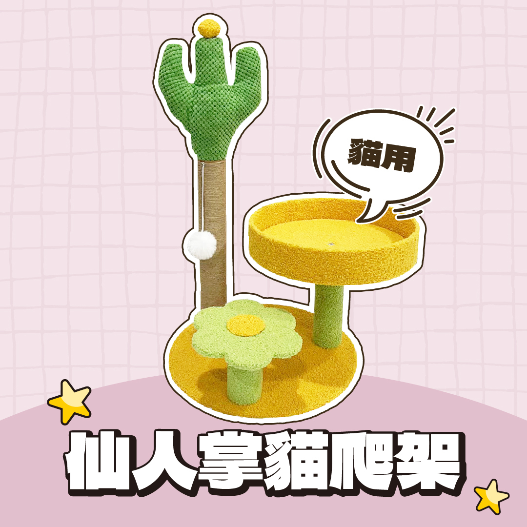 仙人掌貓爬架