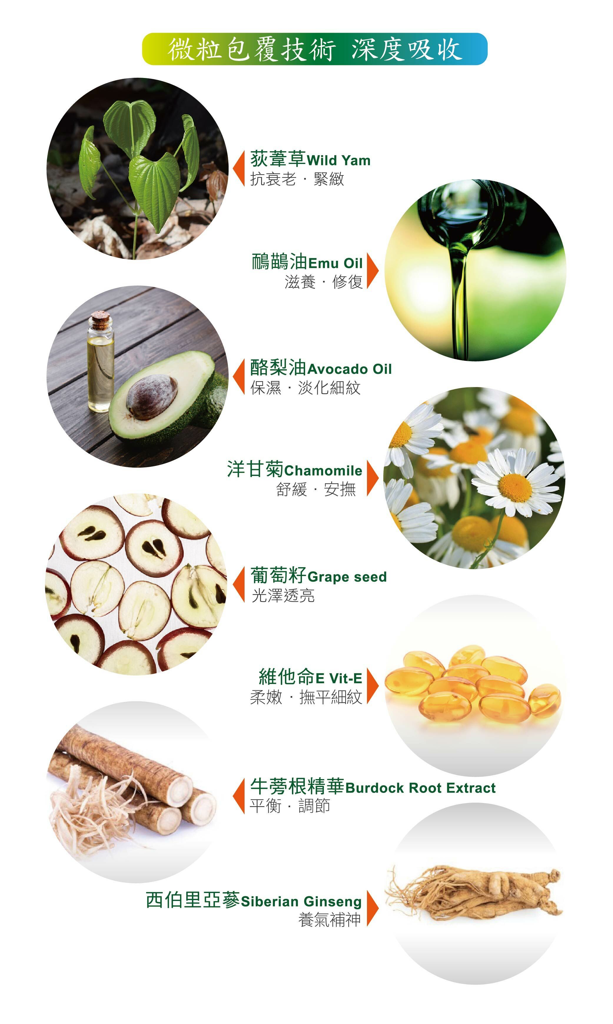 TERRIS好樂蒙貝蒂霜