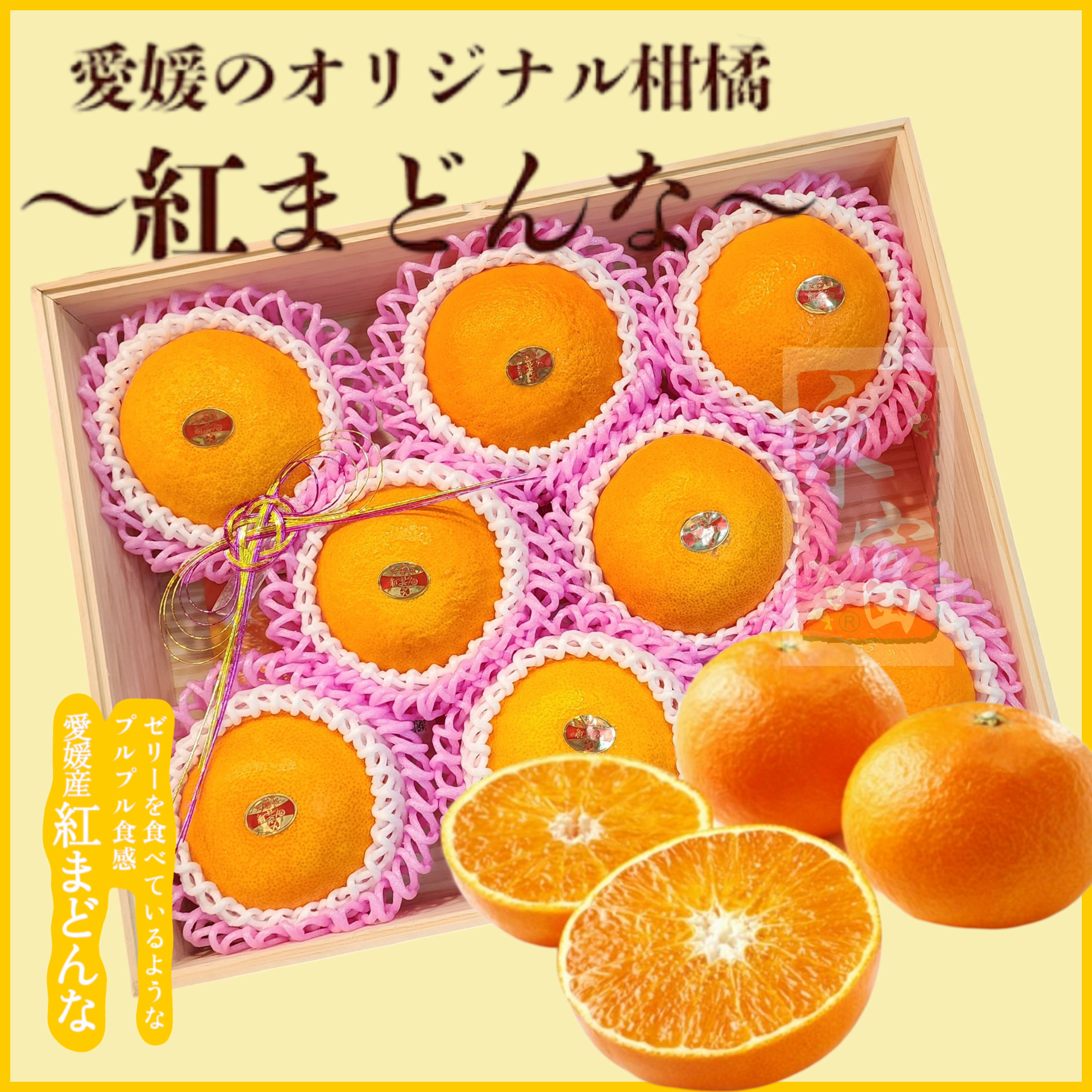 日本愛媛縣麥當娜蜜柑