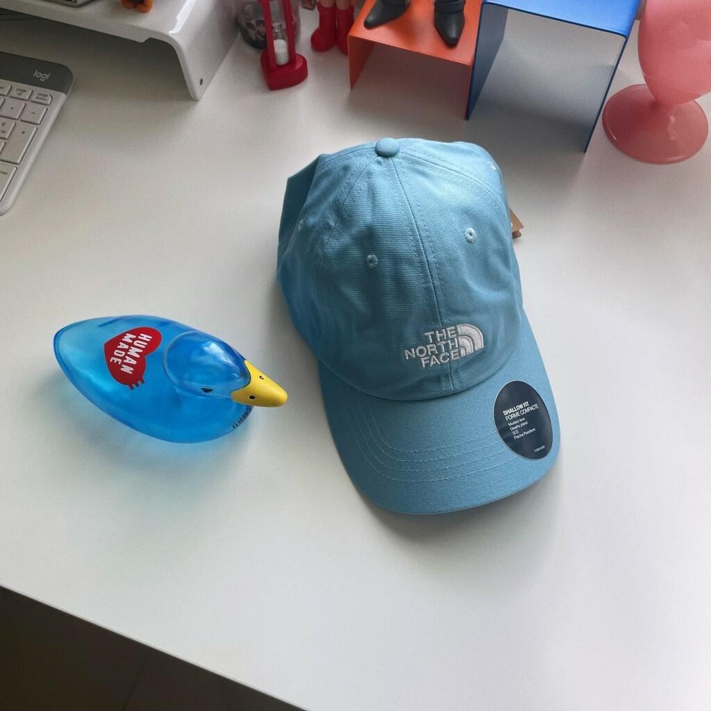 The North Face Norm cap 歐洲限定 TNF 水藍 棒球帽 老帽 帽子 NF0A3SH3LV2