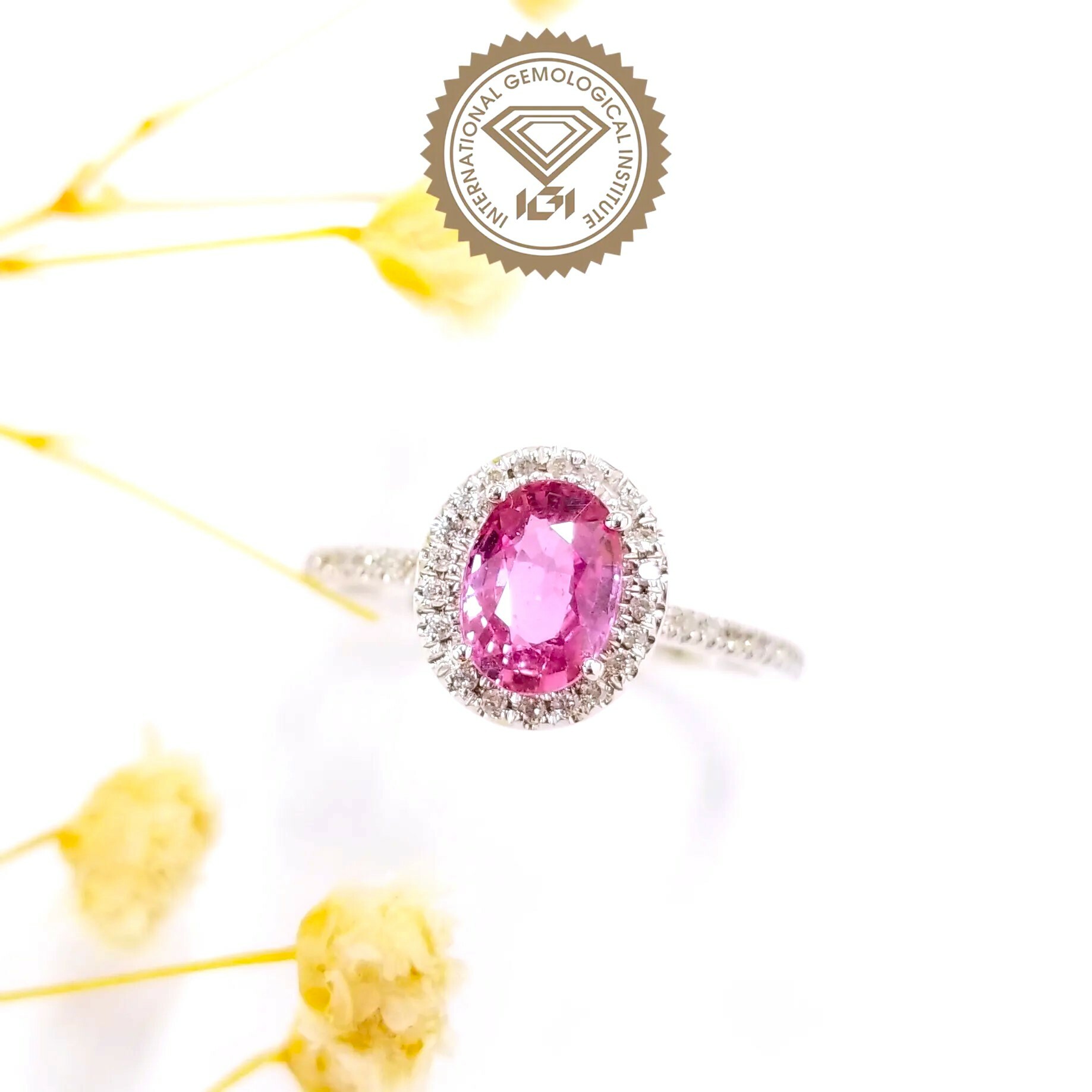 18K White Gold 1.00ct Sapphire and Diamond Ring