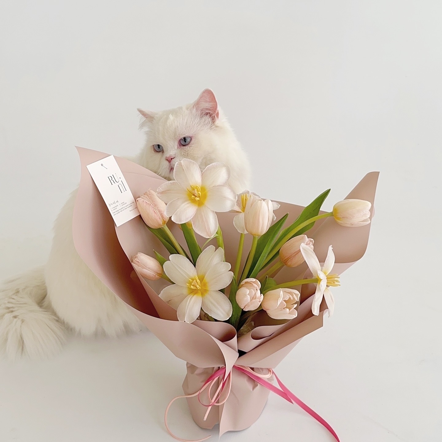 暮春流光-純鬱金香花束