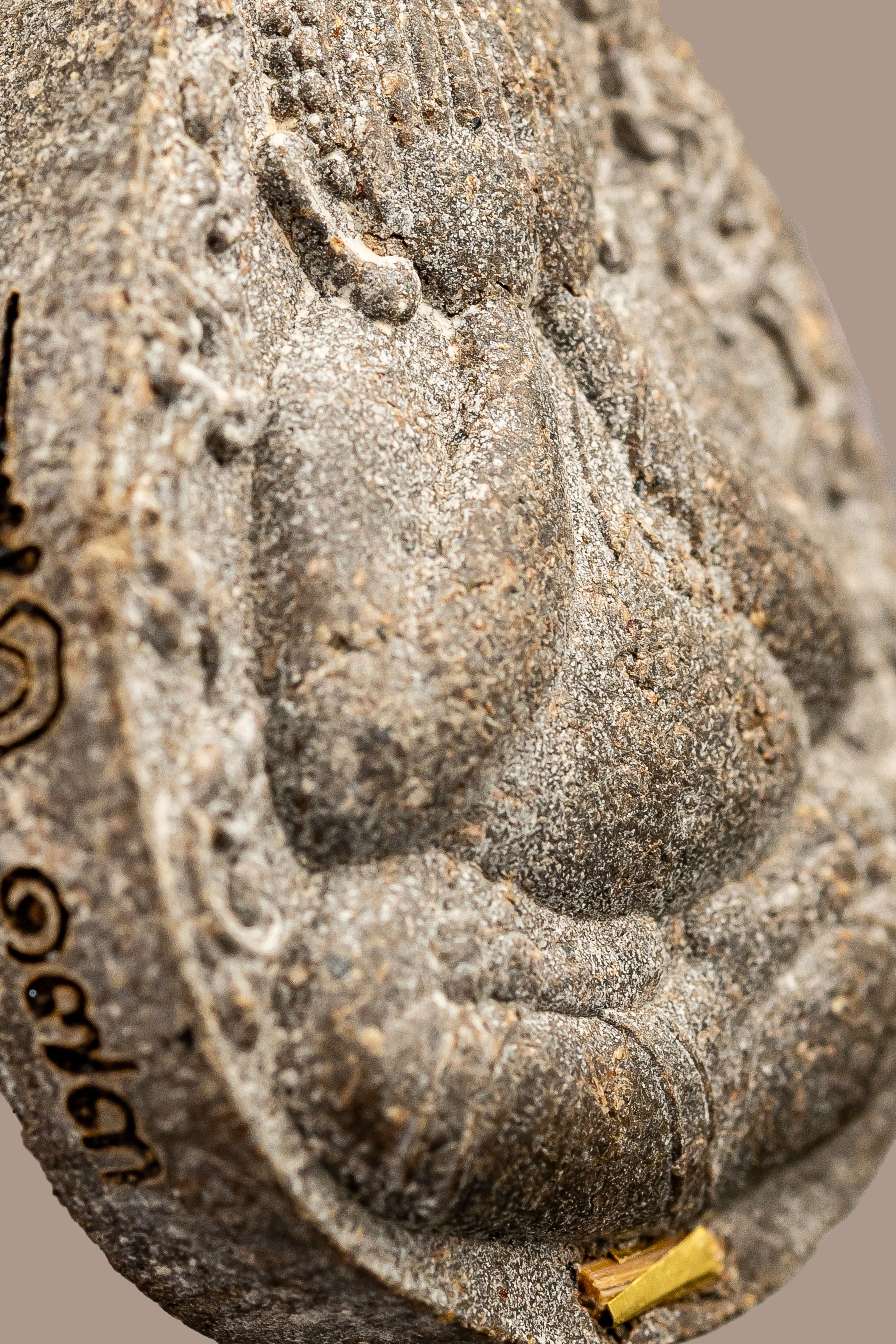 『泰國佛牌』黎逸府『珍寶聘雅 攤奔嘎亭2567』帕阿贊棟 瓦他薩班  05241202