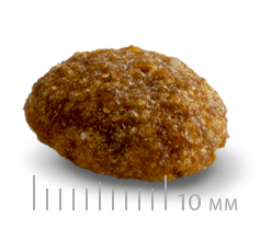 Sanimed - 處方糧 - 抗尿結石乾糧 Anti-Struvite 1.5kg