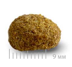 Sanimed - 處方糧 - 治療減重乾糧 Weight Reduction 1.5kg