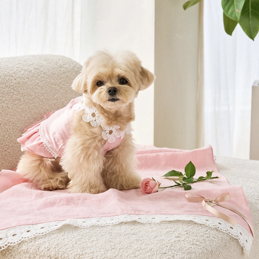 Daisy Linen 涼夏亞麻花墊薄紗墊- It’s sunny outside