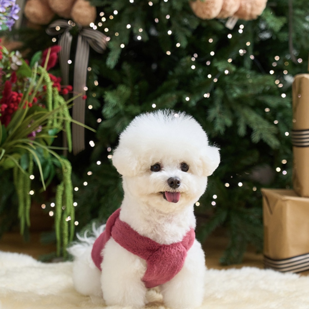 毛茸茸背心Bebe Fur Crop (Plum) 粉紅-It’s sunny outside