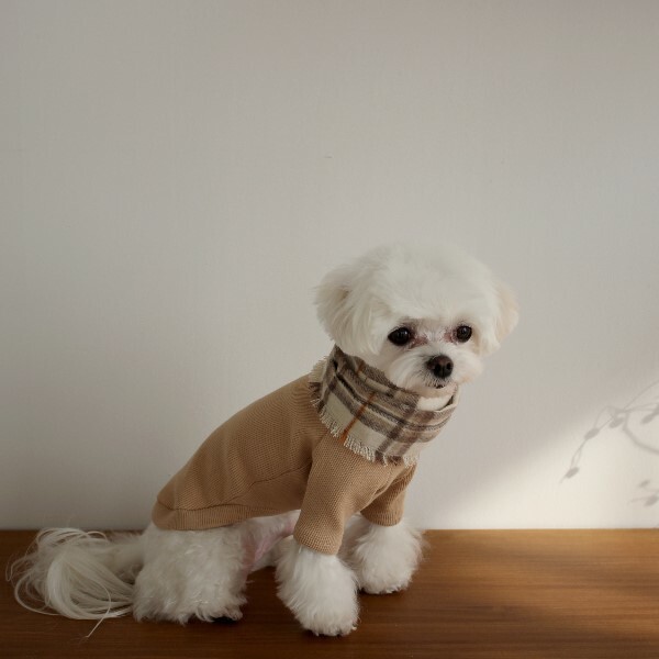 EYOU 經典格紋羊毛圍巾 香草色