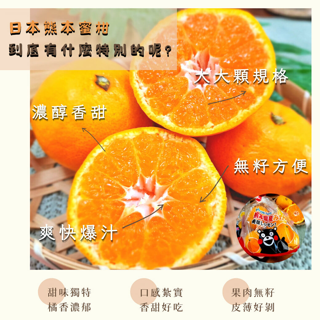 日本熊本蜜柑、茂谷柑、橘子、砂糖橘