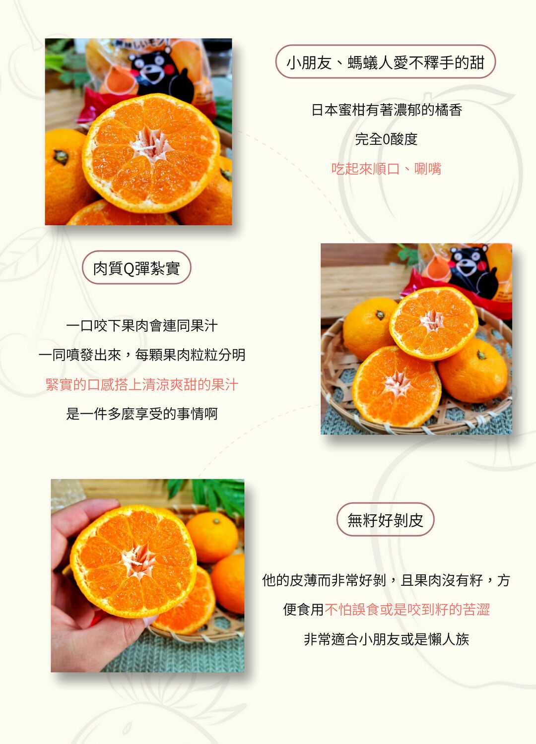 日本熊本蜜柑、茂谷柑、橘子、砂糖橘